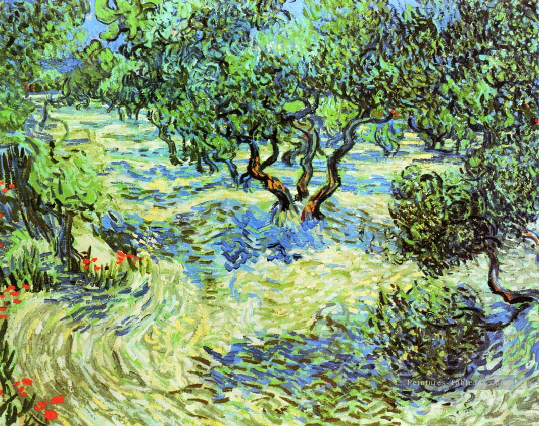 Oliveraie Ciel bleu vif Vincent van Gogh Peintures à l'huile